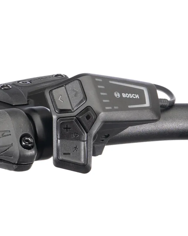 Bosch LED Remote