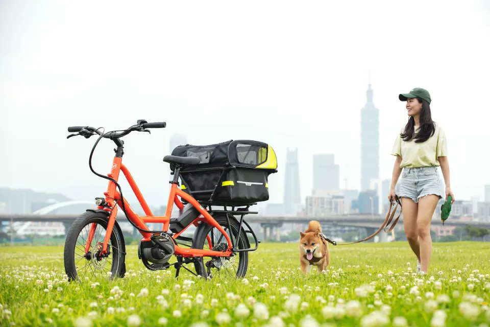 Tern Quick Haul e-bike with the Doghouse Mini pet carrier