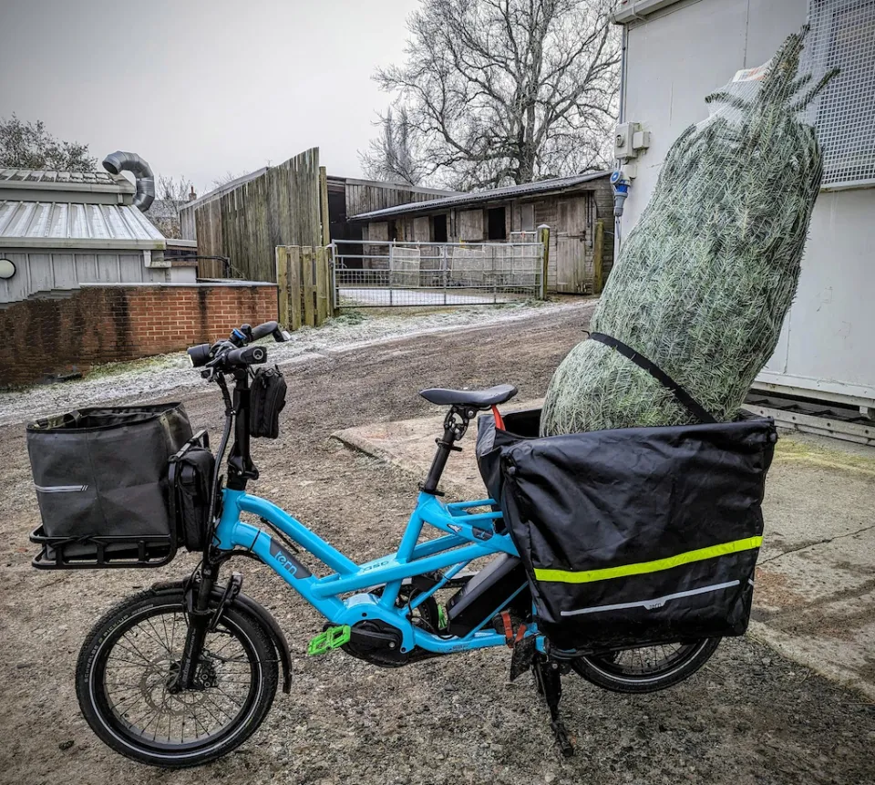 GSD cargo bike hauls large Christmas tree