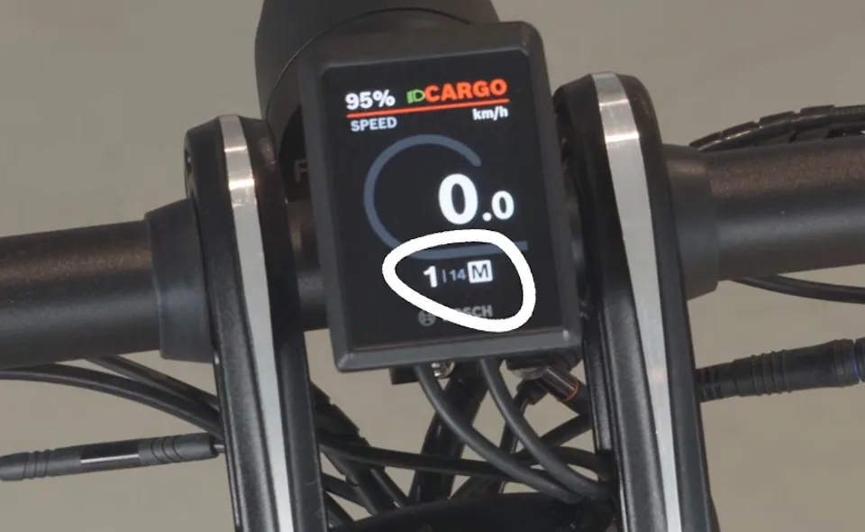 manual is the default for Rohloff