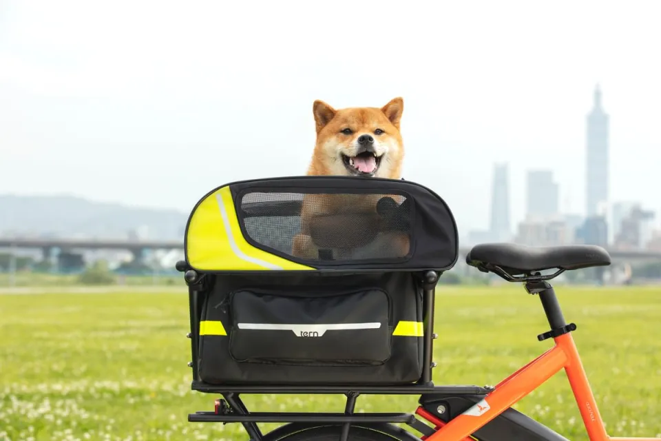 Doghouse Mini dog carrier on Tern eBike (rear view)